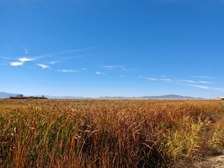 Field near Salt Lake City Utah