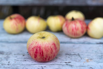 Apples on wooden background. A lot of apples is lying on old bench in village. 