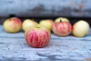 Apples on wooden background. A lot of apples is lying on old bench in village. 