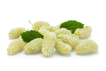 White mulberry with leaf