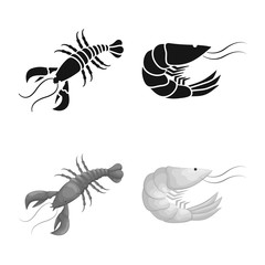 Vector design of appetizer and ocean sign. Set of appetizer and delicacy stock vector illustration.