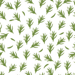  Seamless pattern: isolated green rosemary herb on a white background. Flat vector. Illustration