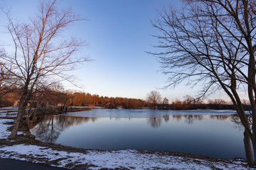winter landscape with trees and lake