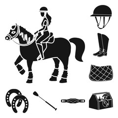 Vector design of sport and competition symbol. Set of sport and equestrian vector icon for stock.