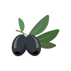 olives isolated on white background. Vector illustration.