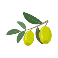 olives isolated on white background. Vector illustration.