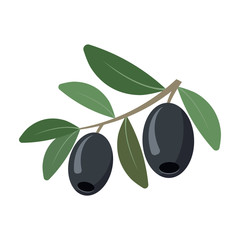 olives isolated on white background. Vector illustration.