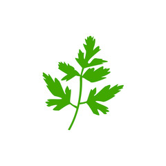 Parsley isolated on white background. Vector illustration.