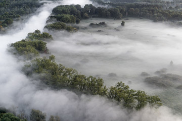 The misty forest, autumn landscape (Italy)