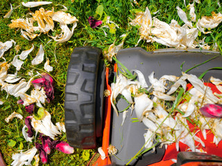 lawn mower covered with petals and gras