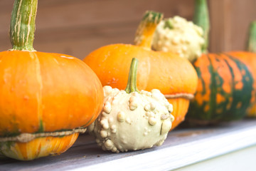 Bright decorative pumpkins on the windowsill of a country house. Harvest season