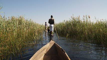 Okavango / Botswana - June 2016: Local guide on a canoe with tourists in the wetlands of the...