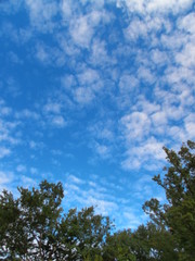 Fototapeta premium 秋の空