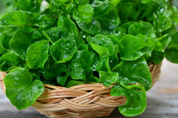 fresh spinach leaves in a bowl