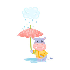 Obraz na płótnie Canvas Cartoon hippo stands with an umbrella in the rain. Vector illustration.