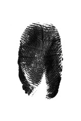 fingerprint pattern isolated on white - Image