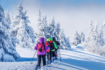 Paysage de neige et raquettes