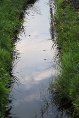 REFLEJO DE UN CIELO NUBLADO QUE AMENAZA TORMENTA SOBRE LA SUPERFICIE DE UN PEQUEÑO RÍO