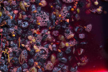 Wine-making. Technology of wine production. The folk tradition of making wine. Wine production in Moldova. The ancient tradition of grape processing.