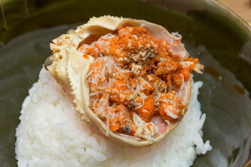 セコガニの雑炊