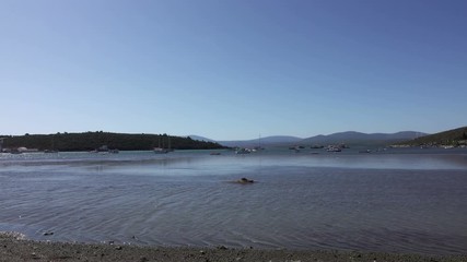 Marina beach boats moored in a bay.