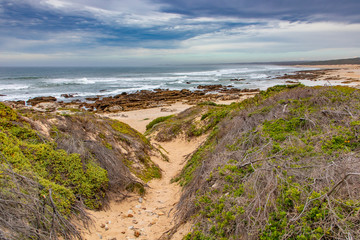 Cape Recife nature reserve on the Atlantic coast of South Africa.