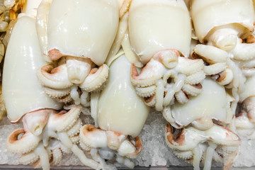 raw squid on ice at the fish market, background