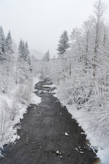 winter scenery with creek, frozen trees and overcast sky