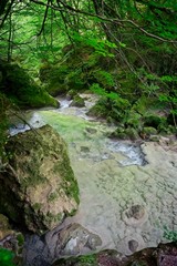 Clear water river in the forest