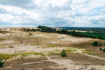 Fototapeta na wymiar Sand dunes on the Curonian spit. Beautiful landscape on the Baltic sea. Kaliningrad region