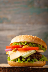 Burger with cheese and beef, food close-up