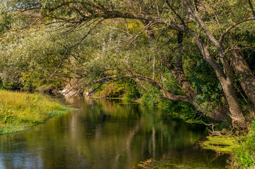  River Gold Panega, Bulgaria. Beautiful river at the end of summer.