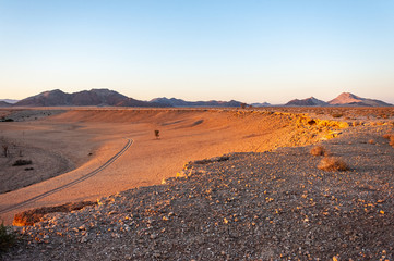 The rising sun is casting long shadows across the Dune Landscape of the Khomas Region in Central Western Namibia.