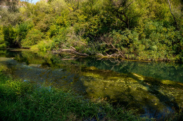  River Gold Panega, Bulgaria. Beautiful river at the end of summer.