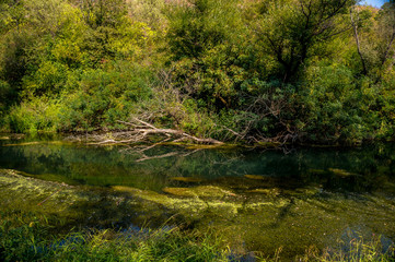  River Gold Panega, Bulgaria. Beautiful river at the end of summer.
