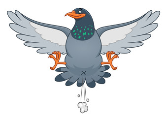 Snide pigeon three