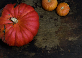 pumpkins and gourds