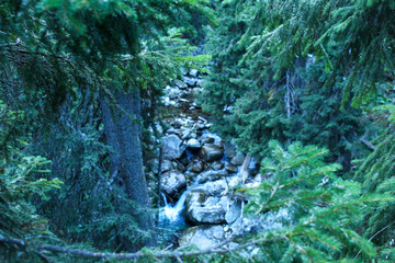 Mountain brook, Retezat mountains, lake Bucura trail