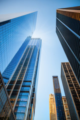 Skyscrapers skyline in New York City, the USA