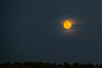 Moon set outside Steytlerville in the dry and arid Karoo area of South Africa