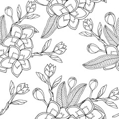 Line art Plumeria or Frangipany flower seamless pattern vector