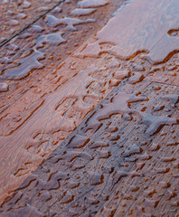 Wooden planks bathed in the rain