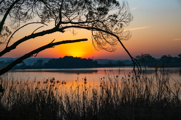 Naklejka premium Sunrise over Rietvlei dam outside Pretoria, South Africa.