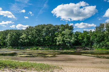 summer, warm, clear, serene, day, trip, journey, walk, rest, nature, flora, landscape, landscape, forest, river, backwaters, greenery, grass, herbs, trees, shrubs, foliage, trail, path, sand, footprin