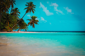Fototapeta na wymiar tropical sand beach with palm trees, beach vacation concept