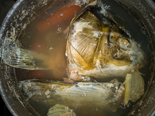 Fish Soup