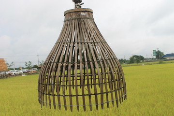 fountain in the park