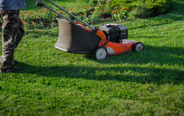 Worker mows grass on a lawn with a lawn mower in a garden. - 291451476