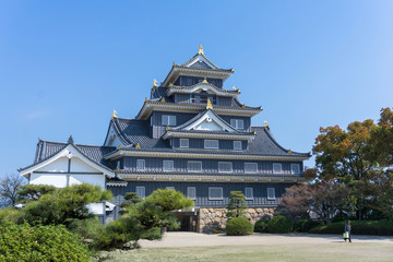 Fototapeta premium Okayama castle with sakura blooming season