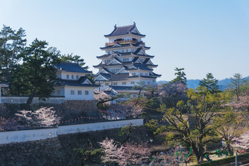 Fukuyama castle with sakura blooming season